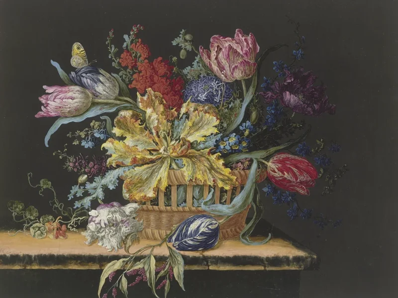 1706-Barbara Regina Dietzsch - Cesto di fiori con tulipani, violaciocche, speronelle e altri fiori su un tavolo